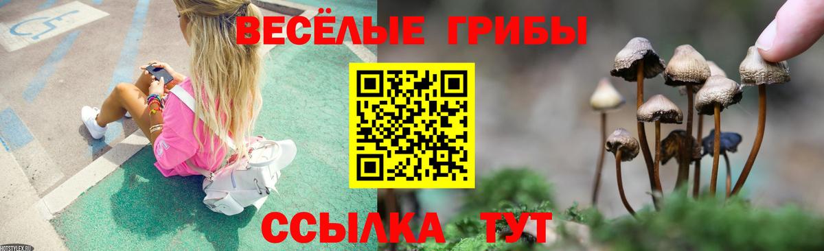 Галлюциногенные грибы Psilocybe  Вход с VPN  Усинск  Псилоцибиновые грибы Psilocybe 